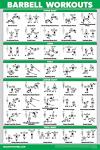 11 Pack Laminated Exercise Poster Set