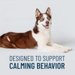 Solliquin Calming Supplement for Large Dogs, 75 Chews