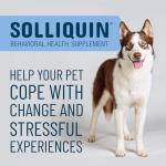 Solliquin Calming Supplement for Large Dogs, 75 Chews