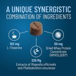 Solliquin Calming Supplement for Large Dogs, 75 Chews