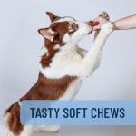 Solliquin Calming Supplement for Large Dogs, 75 Chews