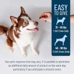 Solliquin Calming Supplement for Large Dogs, 75 Chews