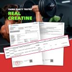 Creatine Monohydrate Gummies for Muscle and Energy