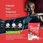 Creatine Monohydrate Gummies for Muscle and Energy