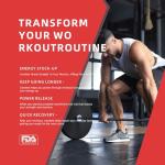 Creatine Monohydrate Gummies for Muscle and Energy