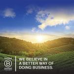 Garden of Life Super Seed Whole Food Fiber Powder