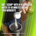 Alpha Lion Superhuman Burn: Pre Workout & Fat Burner