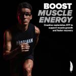 BIRDMAN Caffeine-Free Creatine Powder for Recovery
