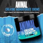 Animal Creatine Chews - Candy Crush’d Muscle Boost