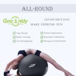Anti-Burst Exercise Ball with Pump for Workouts