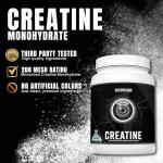 Ekkovision Micronized Creatine Powder - 200 Servings