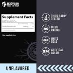 Ekkovision Micronized Creatine Powder - 200 Servings