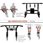 Wall Mounted Pull Up Bar and Dip Station