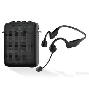 Wireless Voice Amplifier with Earhook Microphone