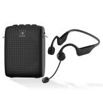 Wireless Voice Amplifier with Earhook Microphone