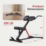 Sunny Health & Fitness Hyperextension Chair with Dip Station