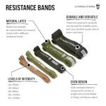 Gymreapers Resistance Bands Set for Strength Training