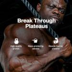 MuscleTech Protein Mass Gainer - Vanilla Milkshake