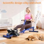 HOWHAI Rowing Machines for Home, Hydraulic Rower Compact Foldable, 300LBS Weight Capacity with 12 Levels Adjustable Resistance for Full-Body Cardio Workouts