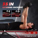FLYBIRD Adjustable Weight Bench for Full Body Workouts