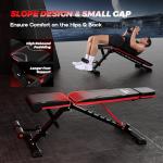 FLYBIRD Adjustable Weight Bench for Full Body Workouts
