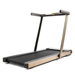 Sunny Health & Fitness Asuna Compact Motorized Treadmill
