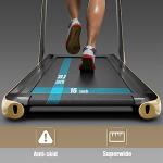Goplus 2-in-1 Folding Treadmill with Remote Control