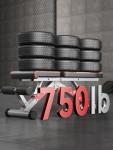 Adjustable Weight Bench for Full Body Workouts