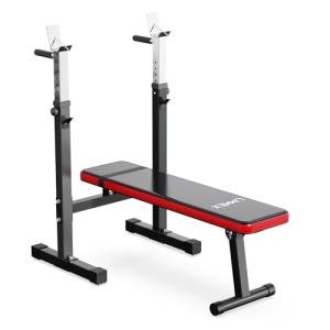 Adjustable Weight Bench with Squat Rack and Dip Station