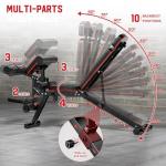 Adjustable Weight Bench with Leg Extension and Curl