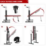 Adjustable Weight Bench with Squat Rack and Dip Station