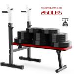 Adjustable Weight Bench with Squat Rack and Dip Station