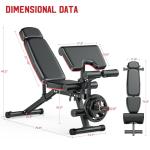 Adjustable Weight Bench with Leg Extension and Curl