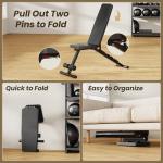 Adjustable Workout Bench for Home Gym, Foldable Weight Bench for Dumbbell Exercise Full Body Workout, Incline Decline Gym Bench for Fitness Strength Traning