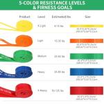 WIKDAY Heavy Resistance Bands Set with Door Anchor