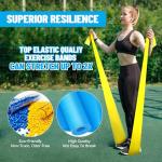 Professional Resistance Bands for Strength and Stretching