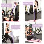 FateFan 6-Tube Resistance Band for Total Body Workout