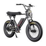 MACFOX 750W Electric Bike with 20" Fat Tires