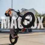 MACFOX 750W Electric Bike with 20" Fat Tires