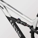 Canyon Spectral 125 AL 5 eBike, Real Raw