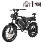 HAPPYRUN 2000W Electric Bike with Dual Battery