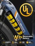 Jasion Thunder 1500W Electric Mountain Bike