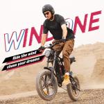 Windone E2 750W All-Terrain Electric Bike