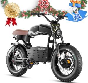 eAhora 4000W Dual Motor Fat Tire Electric Bike