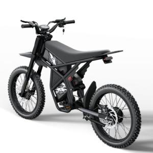 Riding'times GT73 Electric Bike - 2400W, 37 MPH