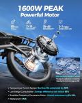 eAhora Romeo Pro Electric Bike - Fast 200-Mile Range