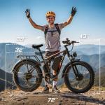 PUJH 5000W Electric Fat Tire Bike for Adults