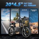 eAhora 4000W Dual Motor Fat Tire Electric Bike