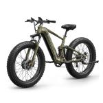 Puckipuppy 1600W Dual Motor Electric Bike