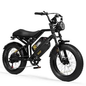 Qlife 1500W Electric Bike for Adults, Black